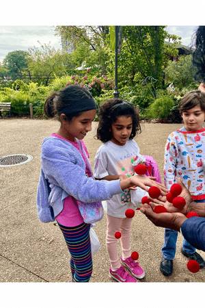 Make the most of Summer in Chicago - Summer Fun and Learning